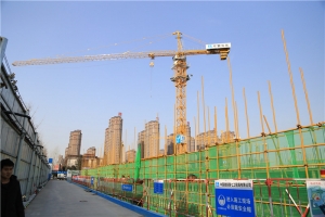 許昌平頭塔式起重機TCT7015-10E