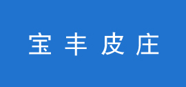 寶豐皮莊
