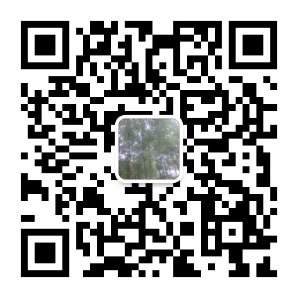 塔吊租賃公司，河南塔吊租賃公司，塔吊租賃公司資質